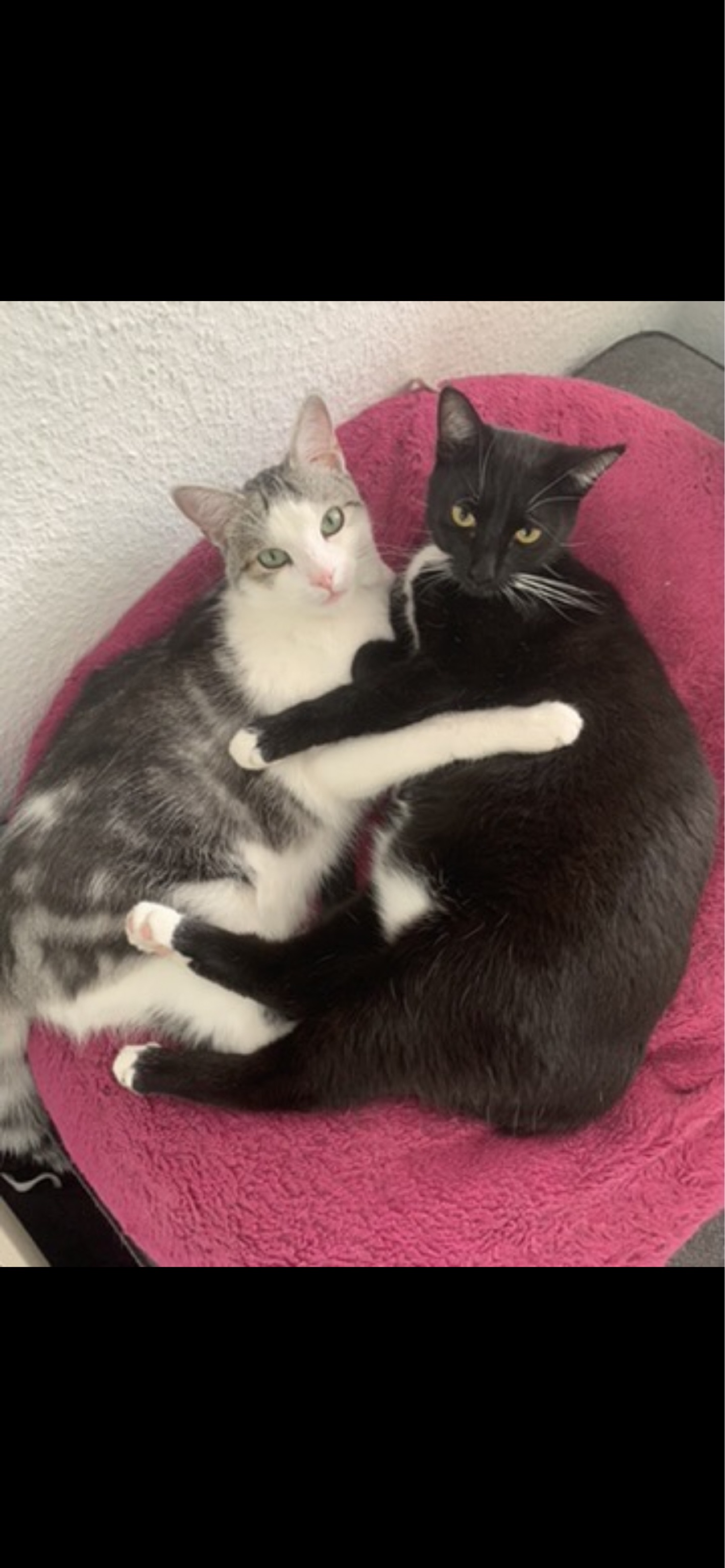 Miro und Isha_IMG_0433.png Miro und Isha_IMG_0433.png